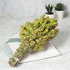 ADAÇAYI PİRAMİT ÇAY